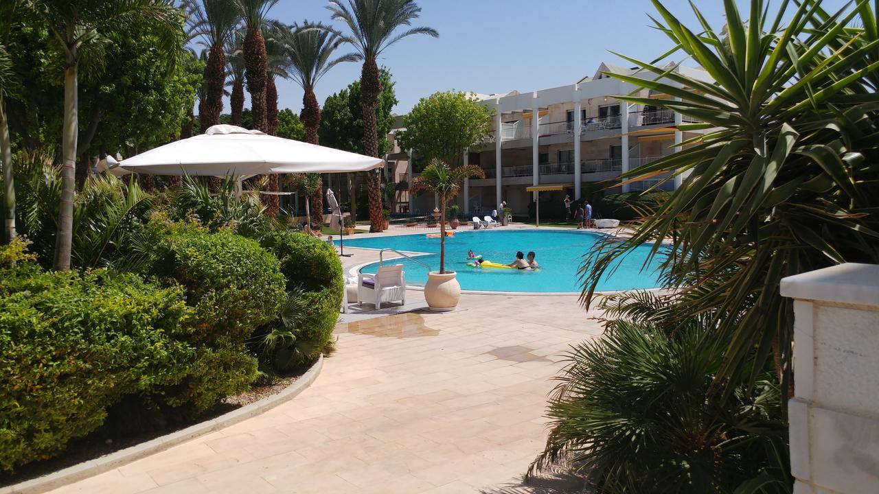 Apartment Royal Palmore Suites Eilat